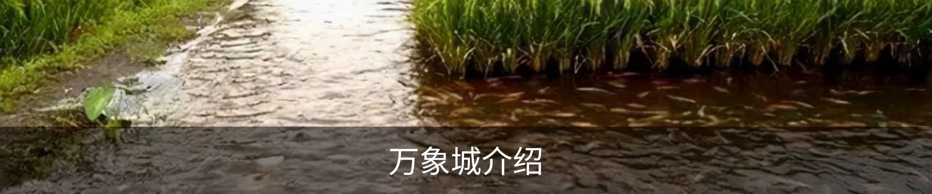 万象城介绍